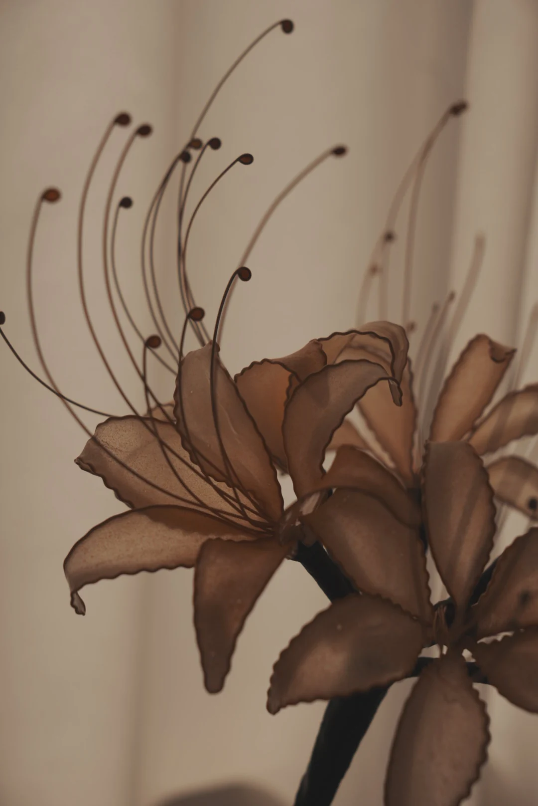 荏苒 23 水晶花作品 27