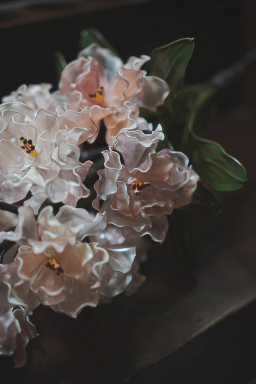 粉白色皺邊花瓣、花蕊與透明綠葉的近景